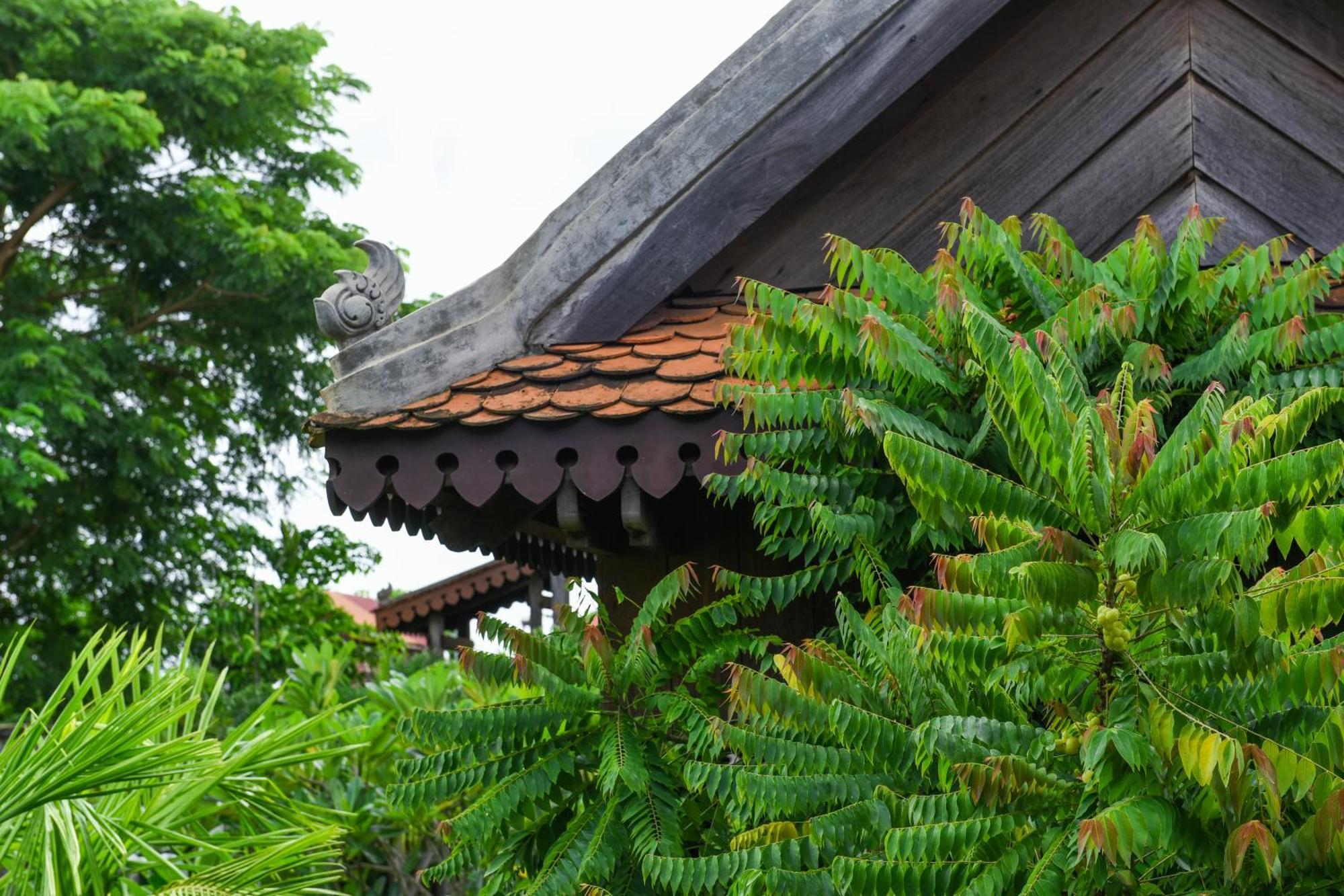סיאם ריפ Phum Khmer Lodge - Village Cambodian Eco-Lodge מראה חיצוני תמונה